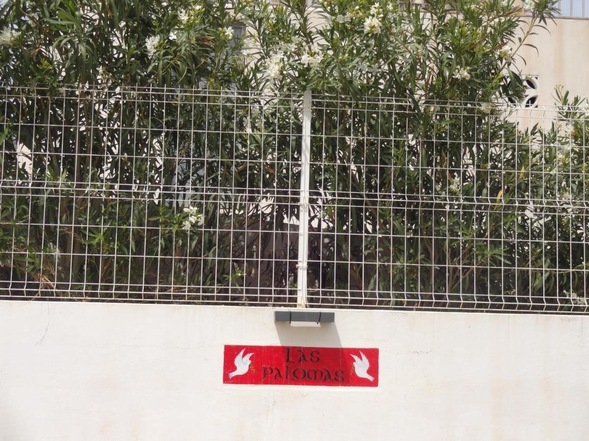 Las Palomas, Appartement 2 Chambres Avec Piscine Turís Exterior foto